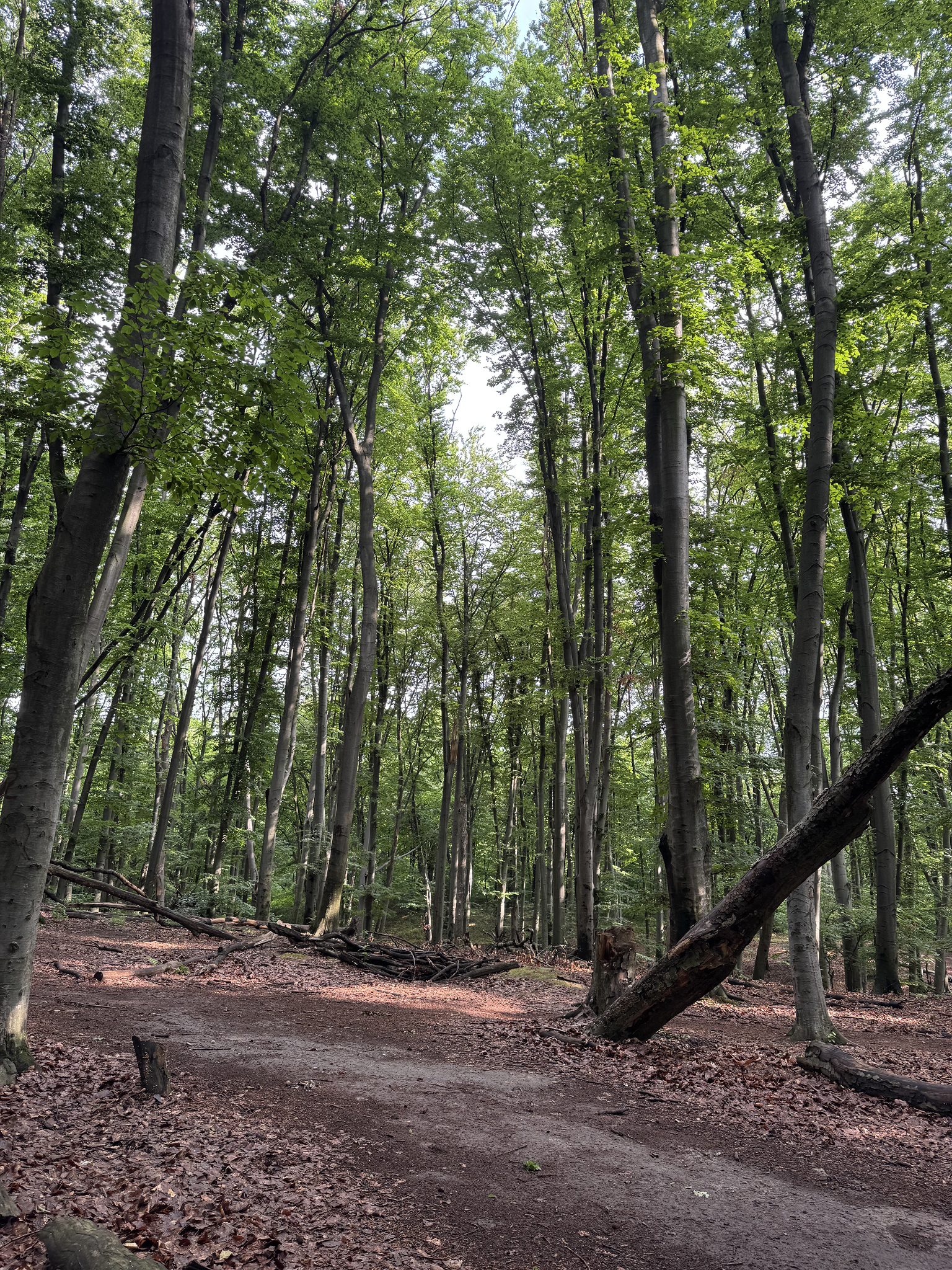 Зображення події